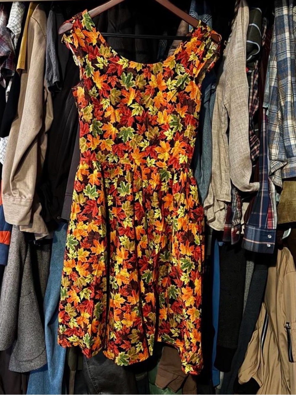 Retrolicious “Greta" Autumn Leaves Vintage Style Swing Dress